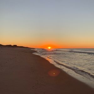 Meet your Posher, Lila